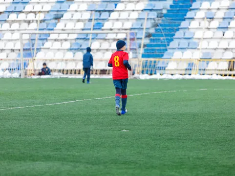 UED体育移动应用